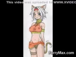 Furry hentai chicas!